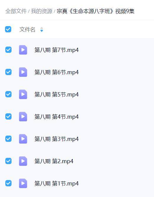 宗真《生命本源八字班》视频9集