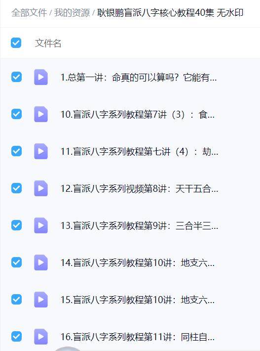 耿银鹏盲派八字核心教程40集 无水印
