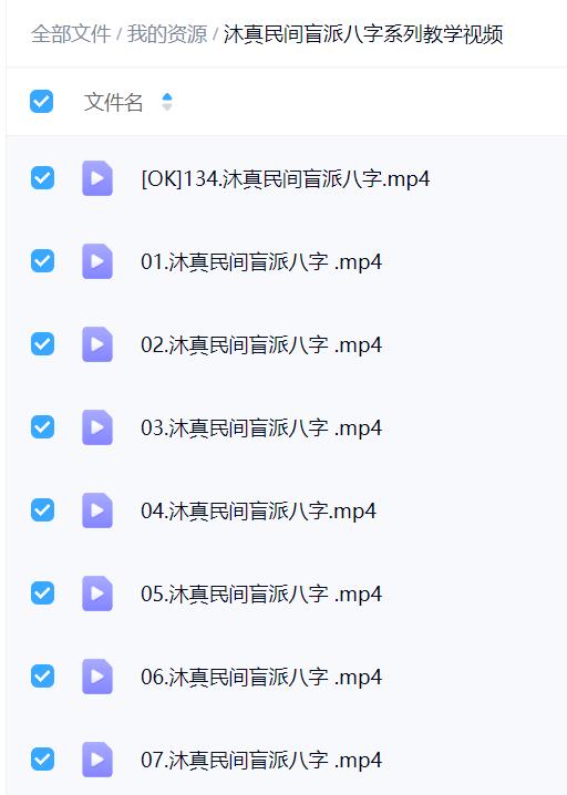 沐真民间盲派八字系列教学视频 139集