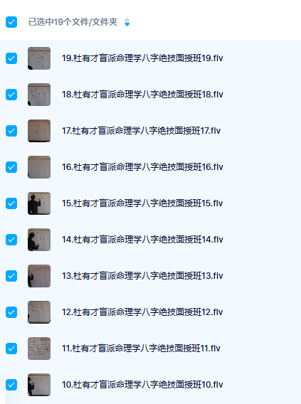 杜有才盲派命理19集