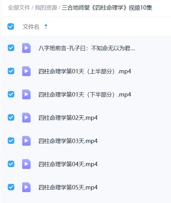 三合地师堂《四柱命理学》视频10集