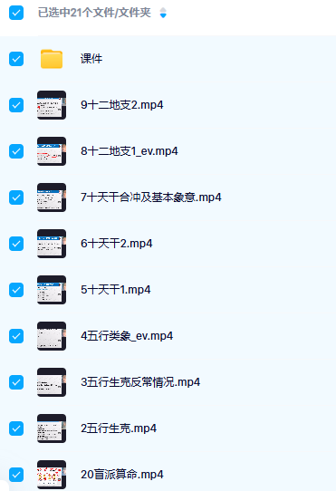 盲派山阳老师全套课程20集+课件