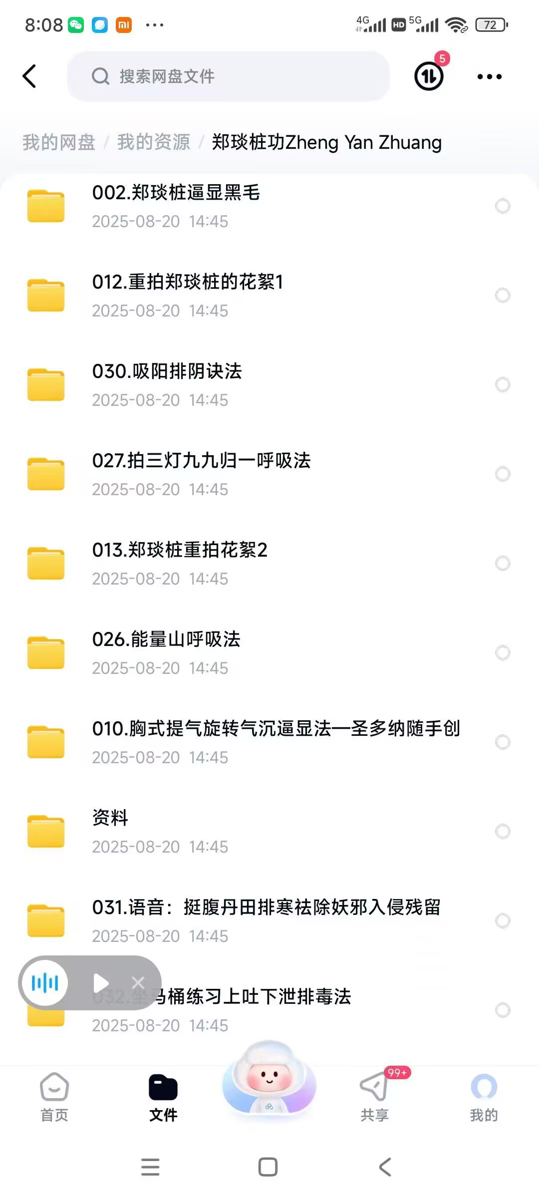 【郑琰桩功】音频+视频 高效实用