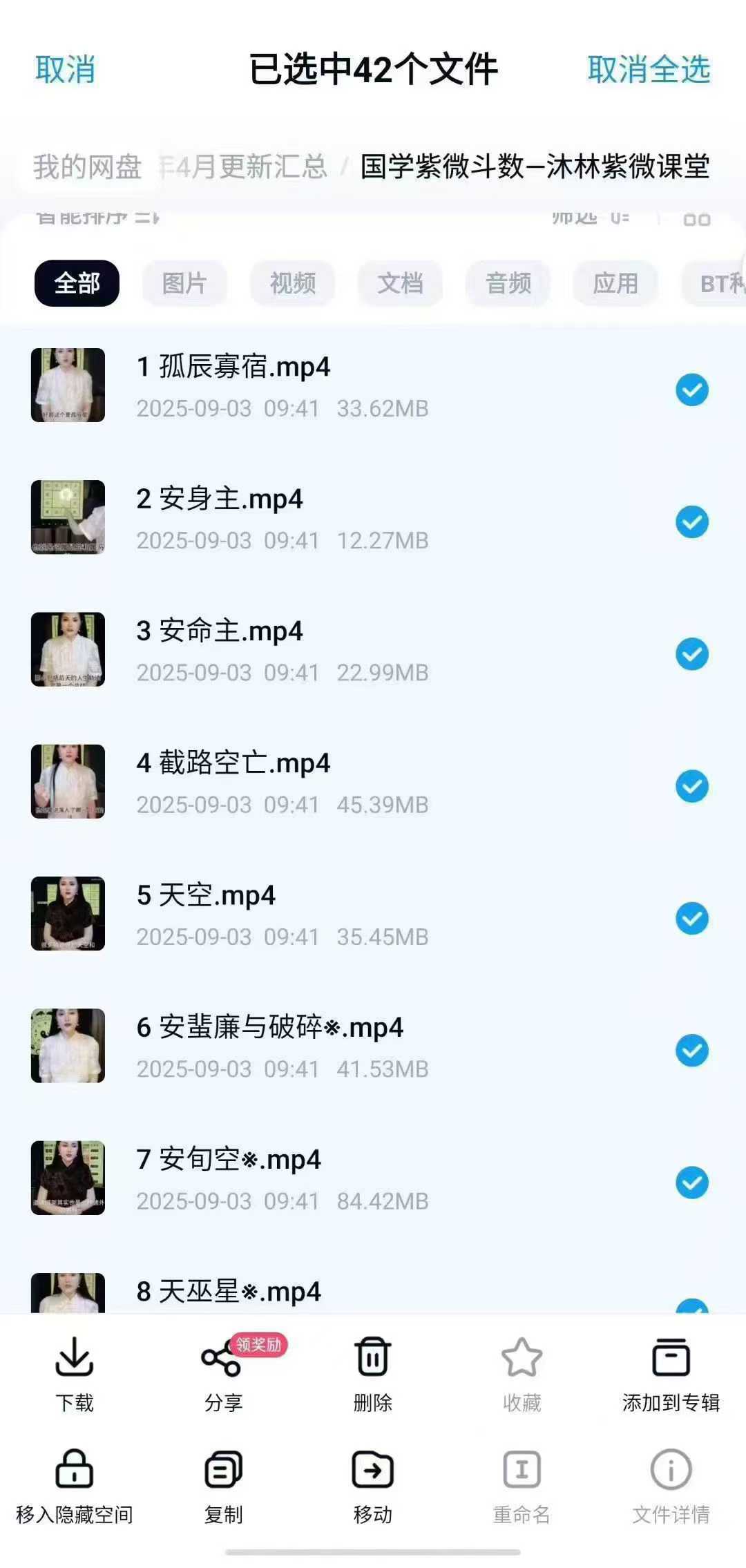沐林国学紫微42集视频课