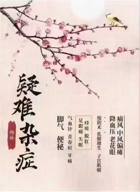 杨林老师疑难-杂症五十项签约治疗精品班38页电子版