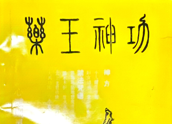 《药王神功》230页