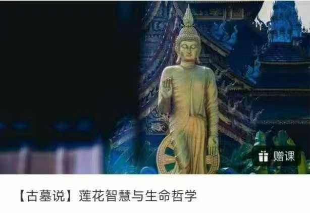 莲花智慧与生命哲学68集视频