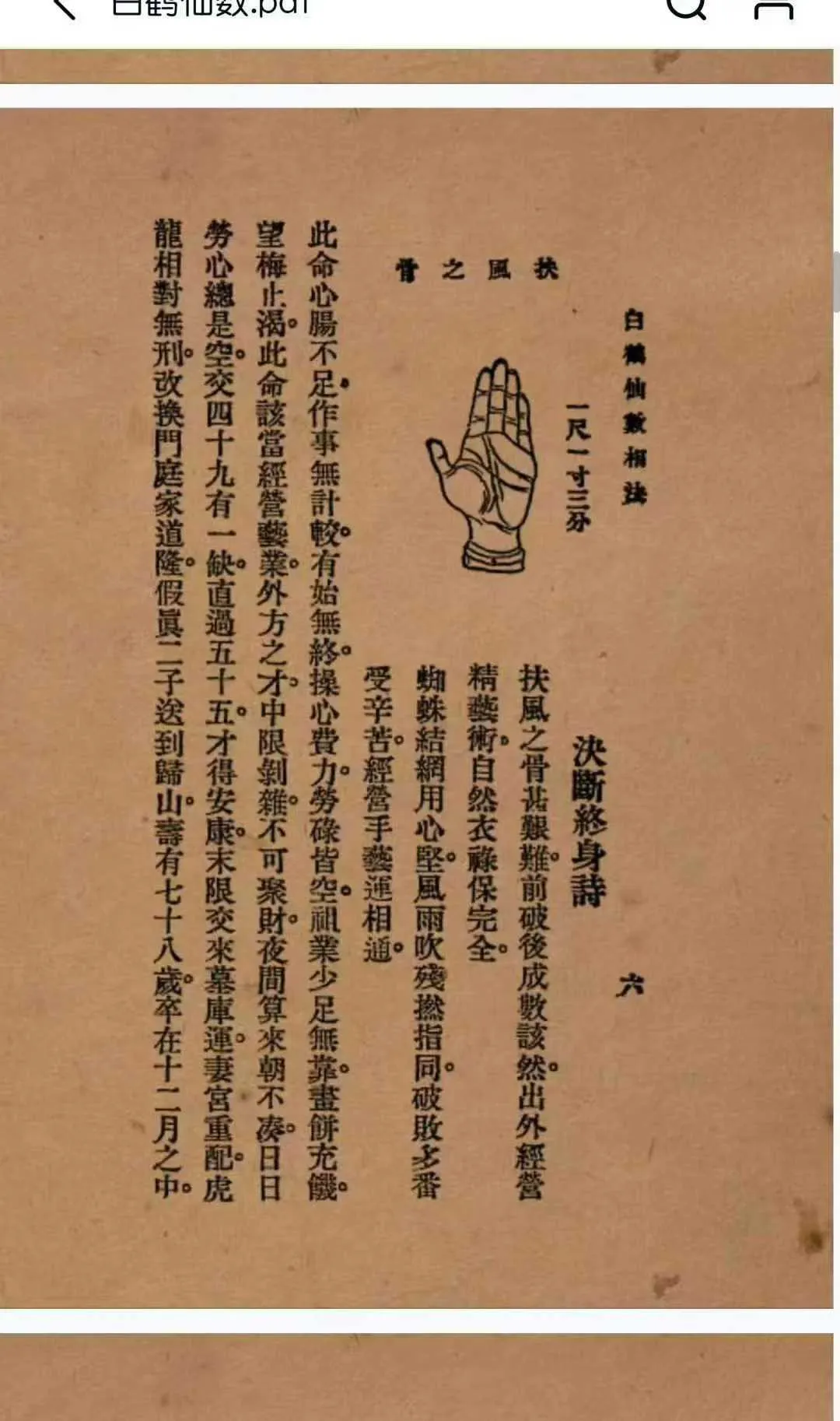 74.jpg