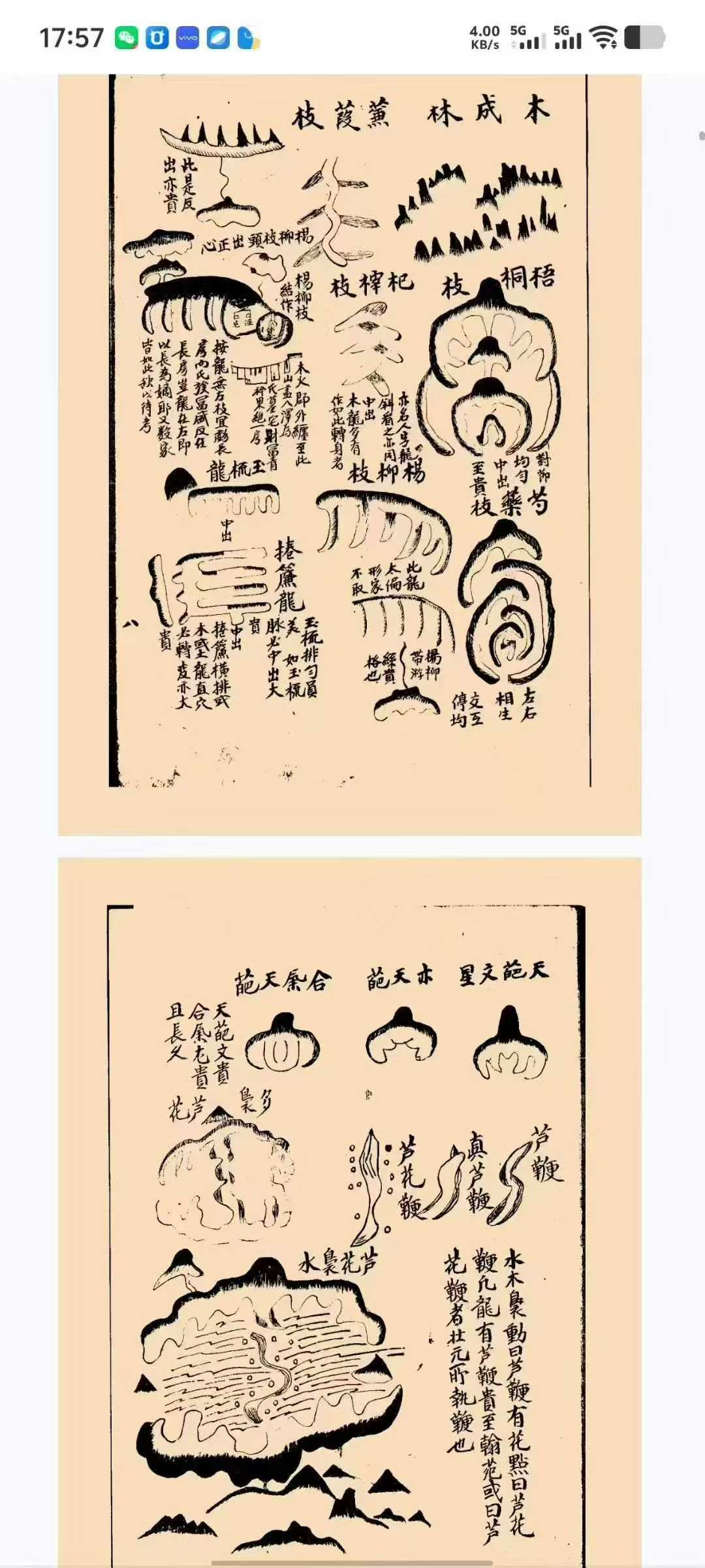 《形家真宝》 古本-290单页,秘藏勿泄