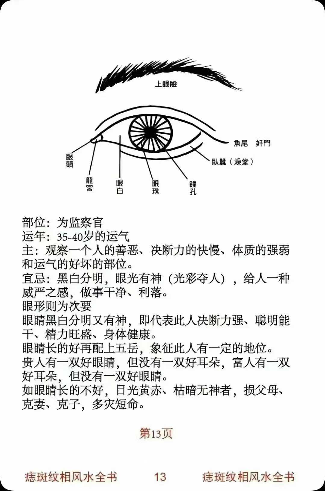 痣斑面相秘笈《痣斑纹相风水全书》510页