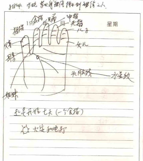 天居士李纯文线下手面相面授徒弟笔记，61双面120页