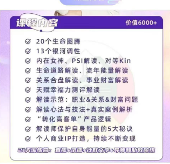 大君君天赋咨询师认证课视频+课件