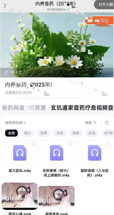《玄玑道家音药疗愈》 视频音频课 5节