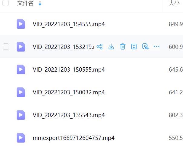 正一元皇法坛张法灵6集