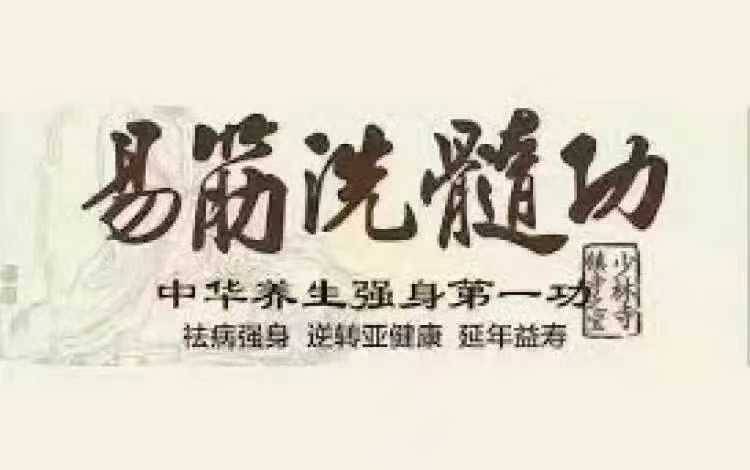 易筋洗髓功高维还原zoom8节视频课