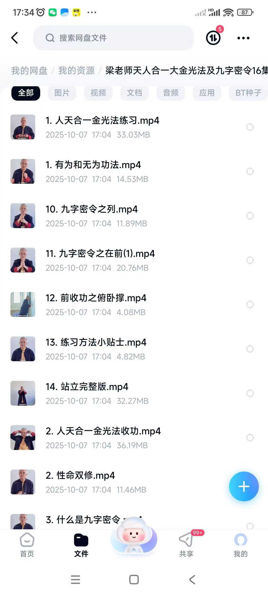 梁老师天人合一大金光法及九字密令16集视频课