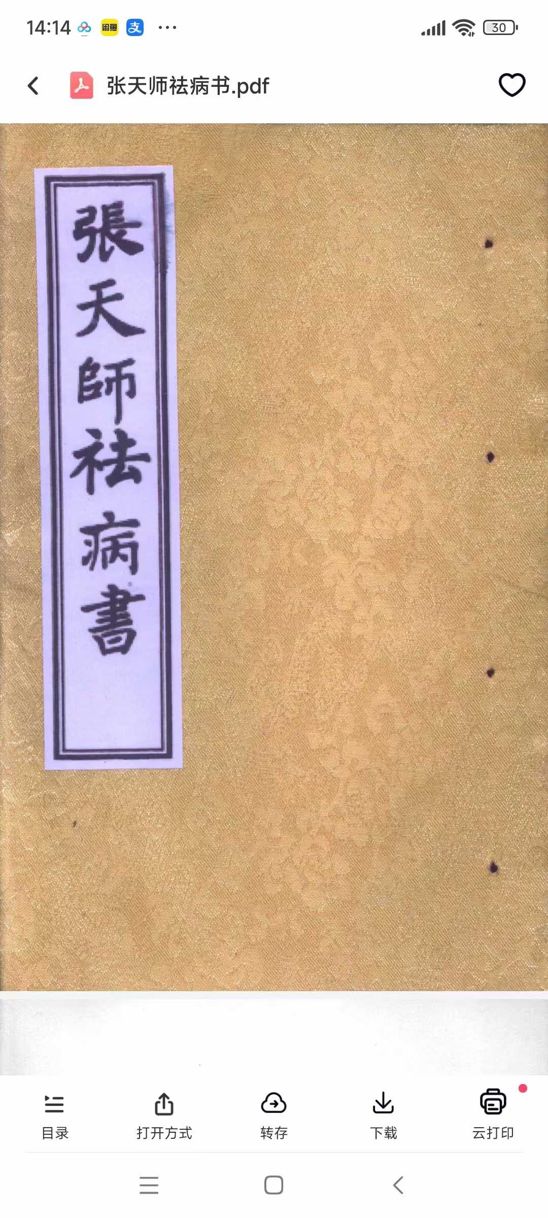 张天师去病2本