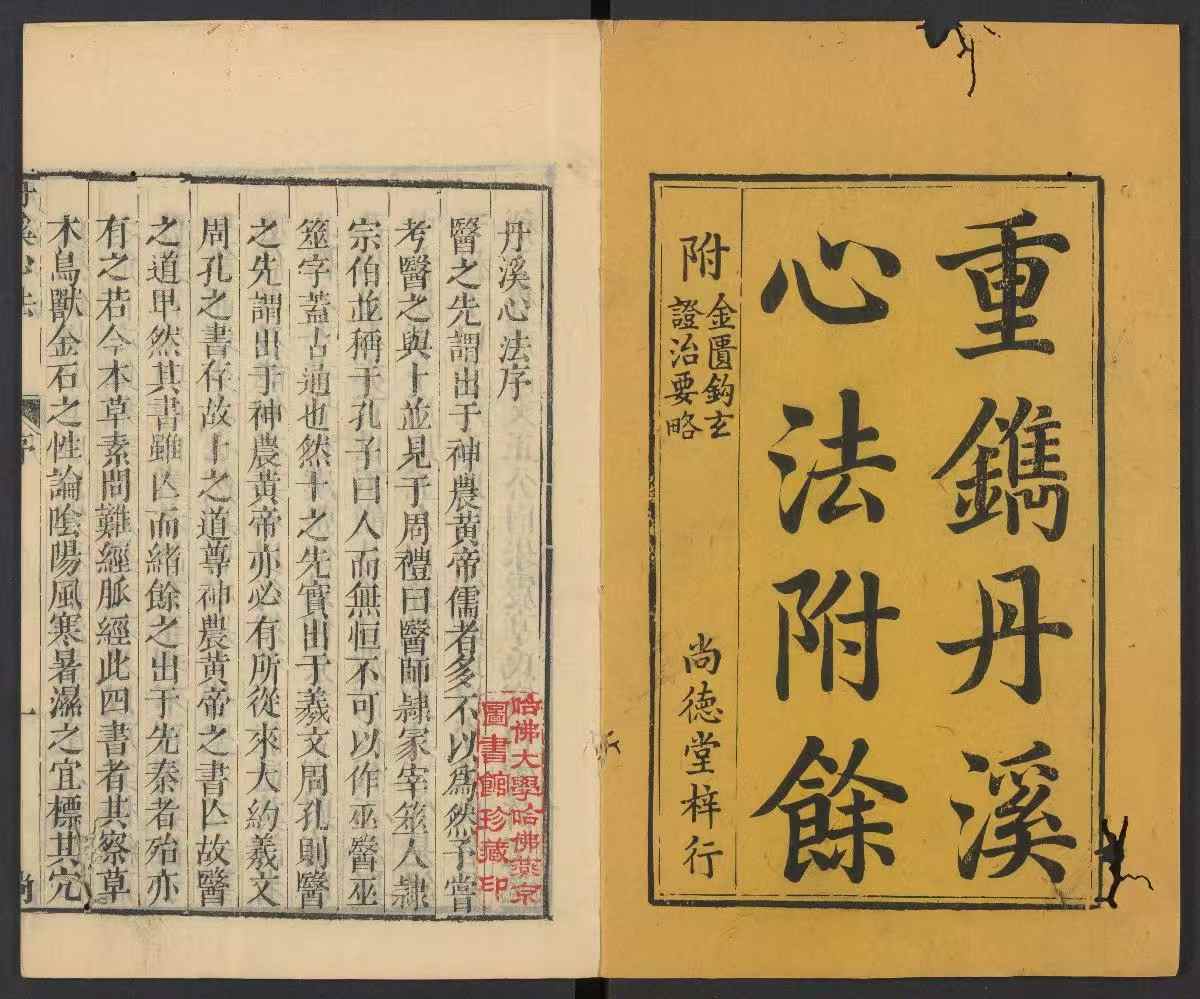 丹溪先生心法五卷