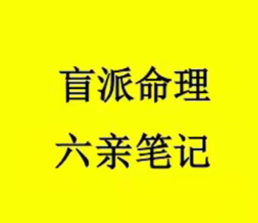 秘传命理学《盲派命理六亲笔记》(祖传资料、请勿外传)154页