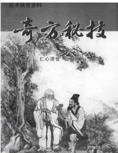 奇方秘技，一共两本，共66页面