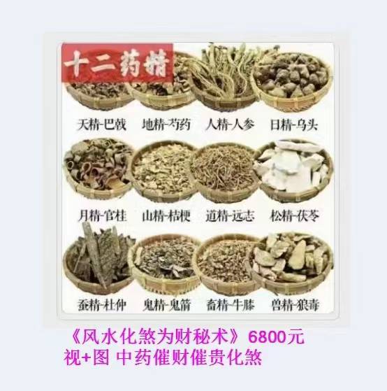 《风水化煞为财秘术》视+图 中药催财催贵化煞