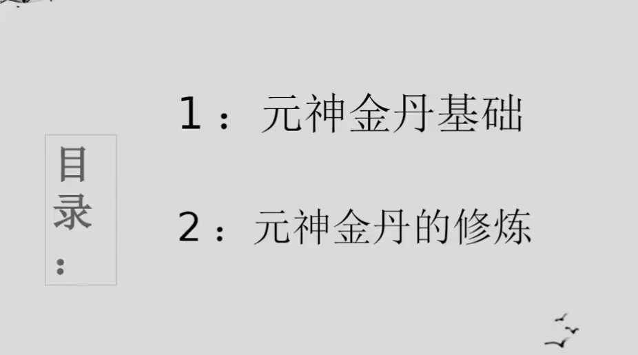 杨三七元神金丹修炼,视频+文档