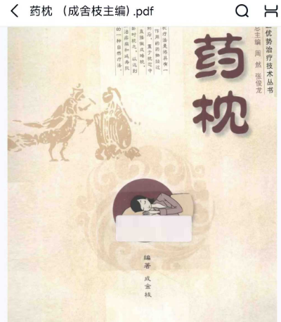 药枕162页
