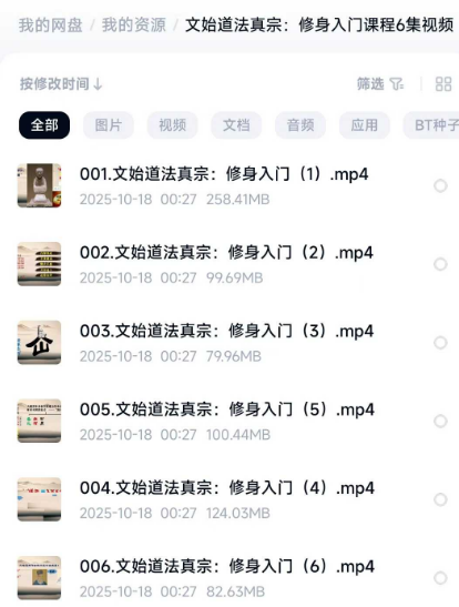 《文始道法真宗修身入门》6集视频课： 修身入门课程 非常好的课程