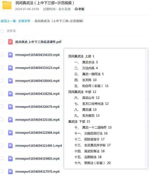 民间真武法上中下三部 课件+视频教学