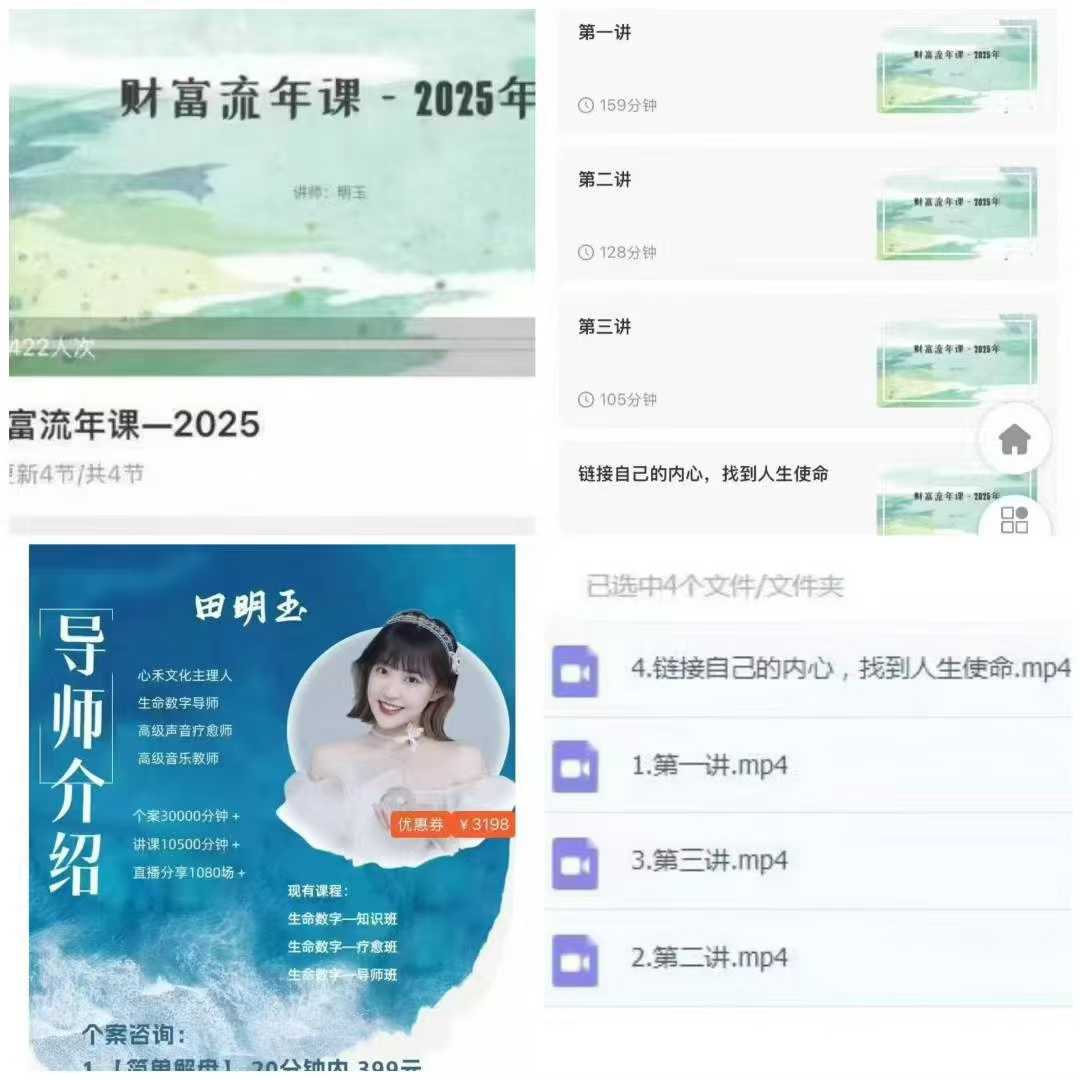 明玉财富流年课—2025年