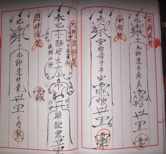 蓬瀛仙府闾山符 38图片双页