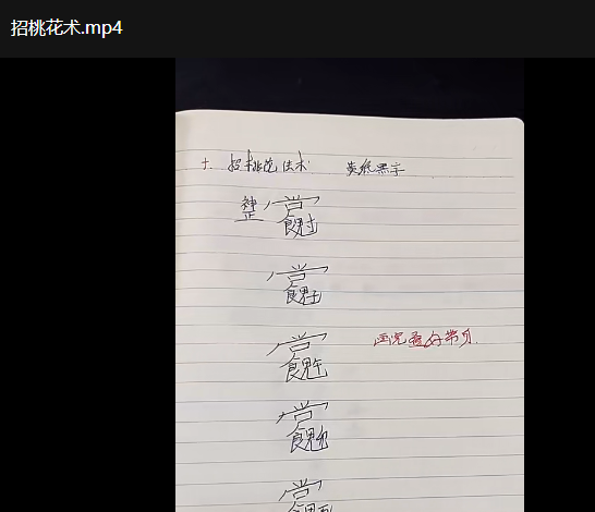 六壬神盘化解术 视频74集+资料3个pdf和图片