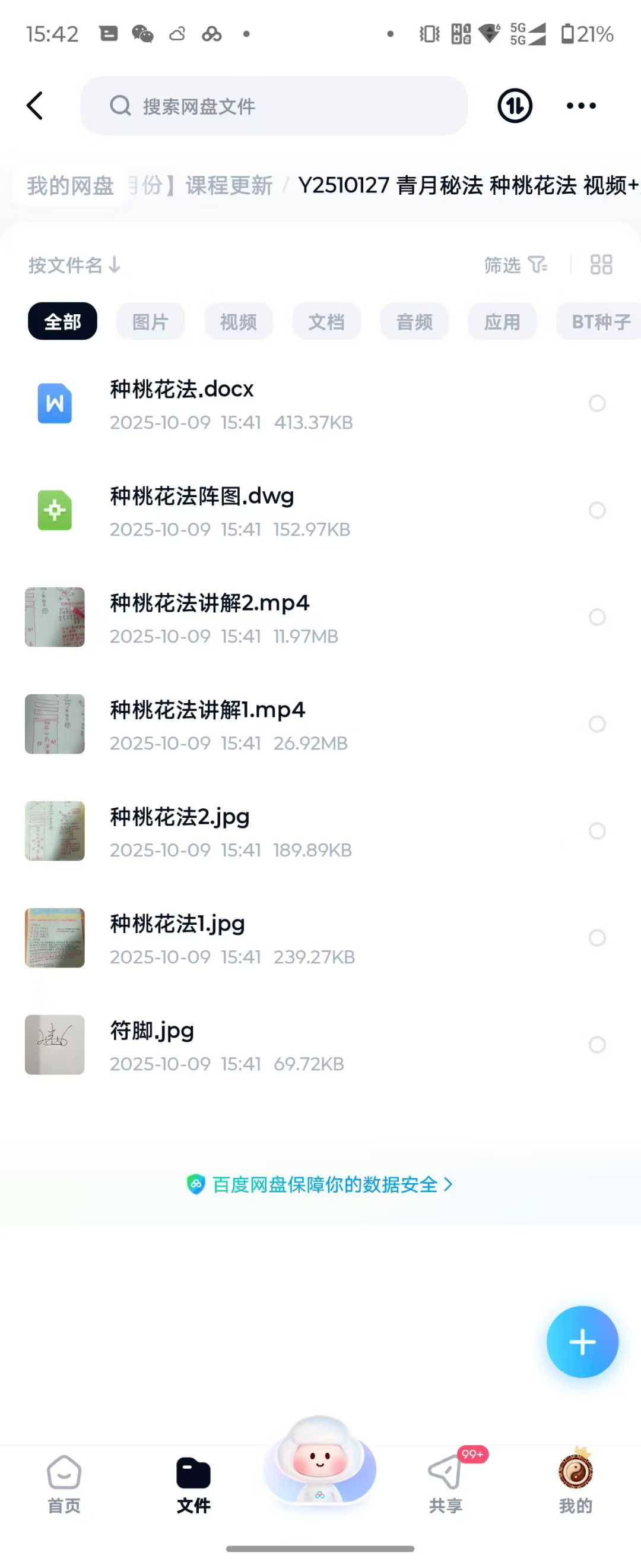 青月秘法 种桃花法 视频+文档