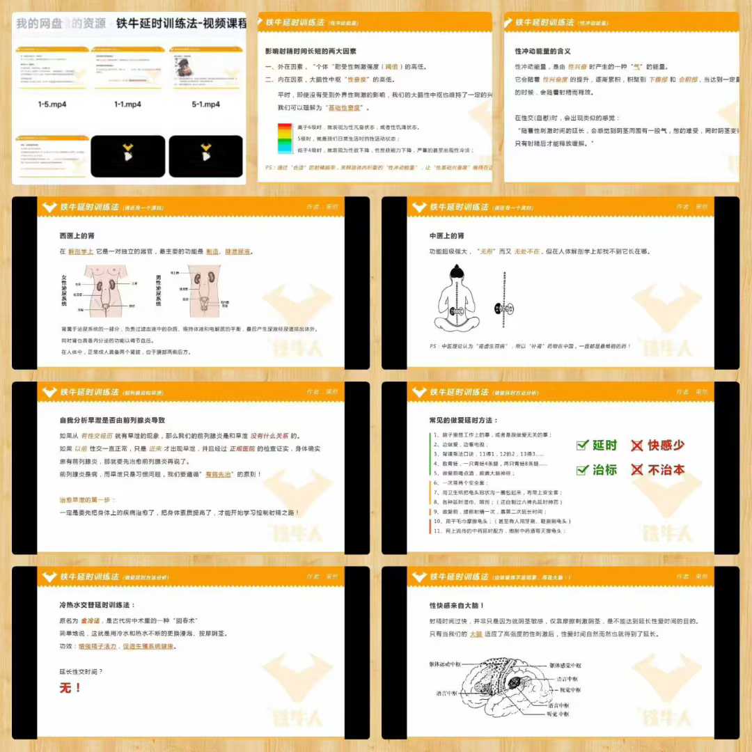 铁牛延时训练法-视频课程27集