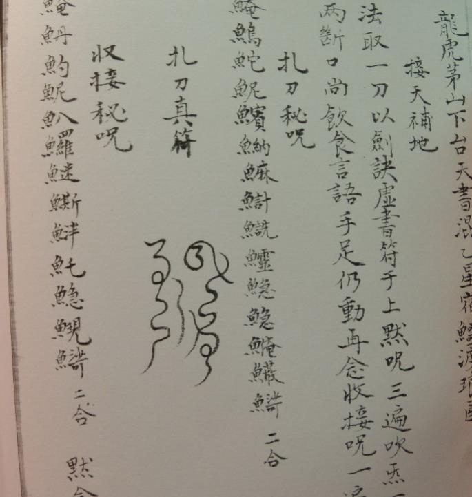 混乙星宿鳄渡琅函龙虎山仙茅台天书三本