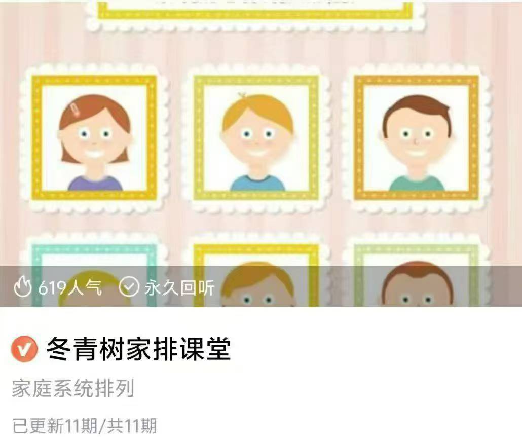 【冬青树家排课堂】家庭系统排列11集