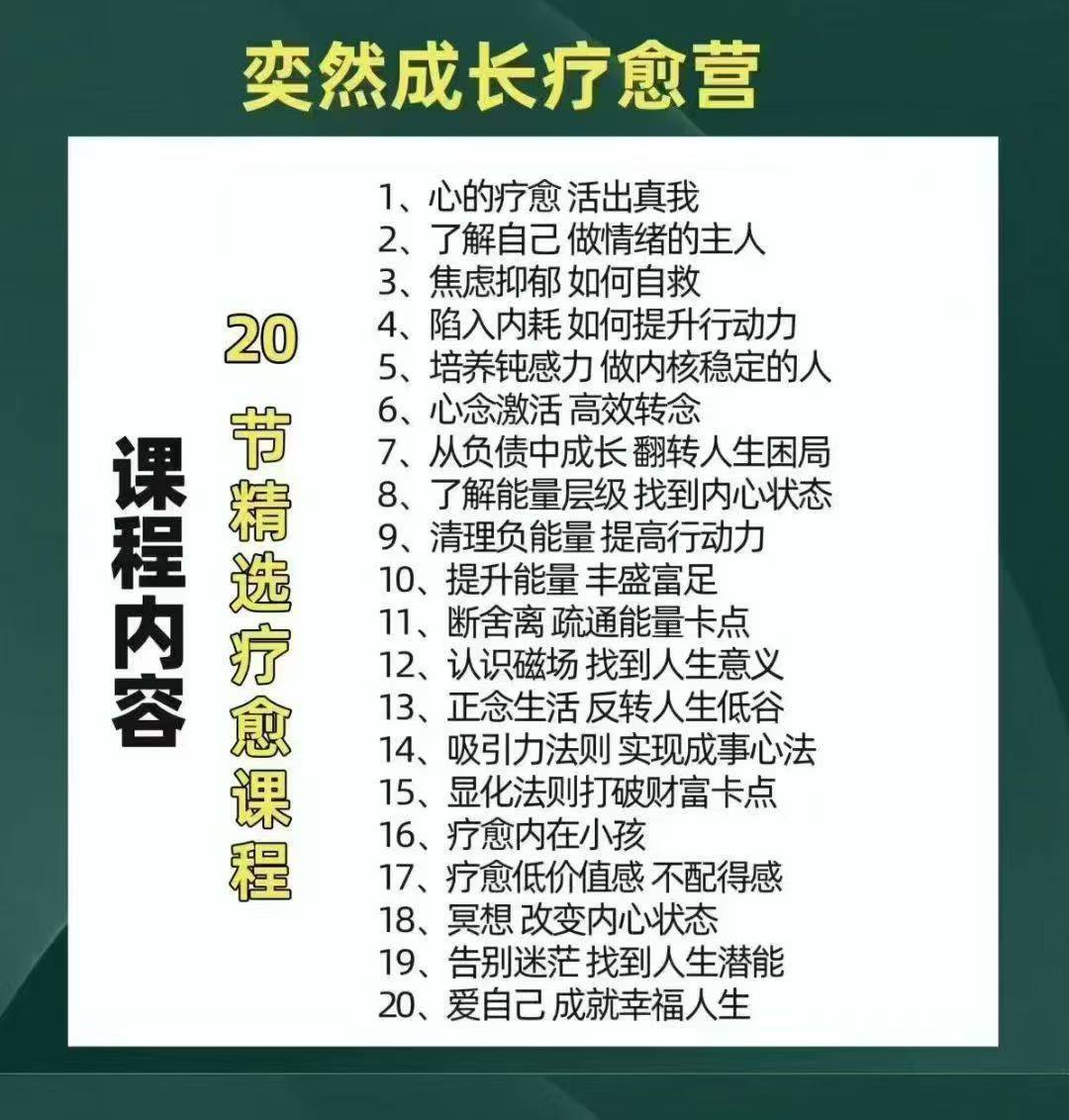 奕然成长疗愈营 365天社群陪伴 正念疗愈成长营 19集视频课