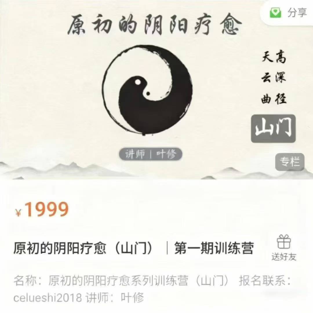 【关系疗愈】叶修原初的阴阳疗愈(山门)|第一期训练营视频课 合集带课件