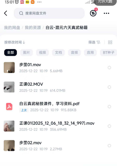 白云-混元六天真武秘籍
