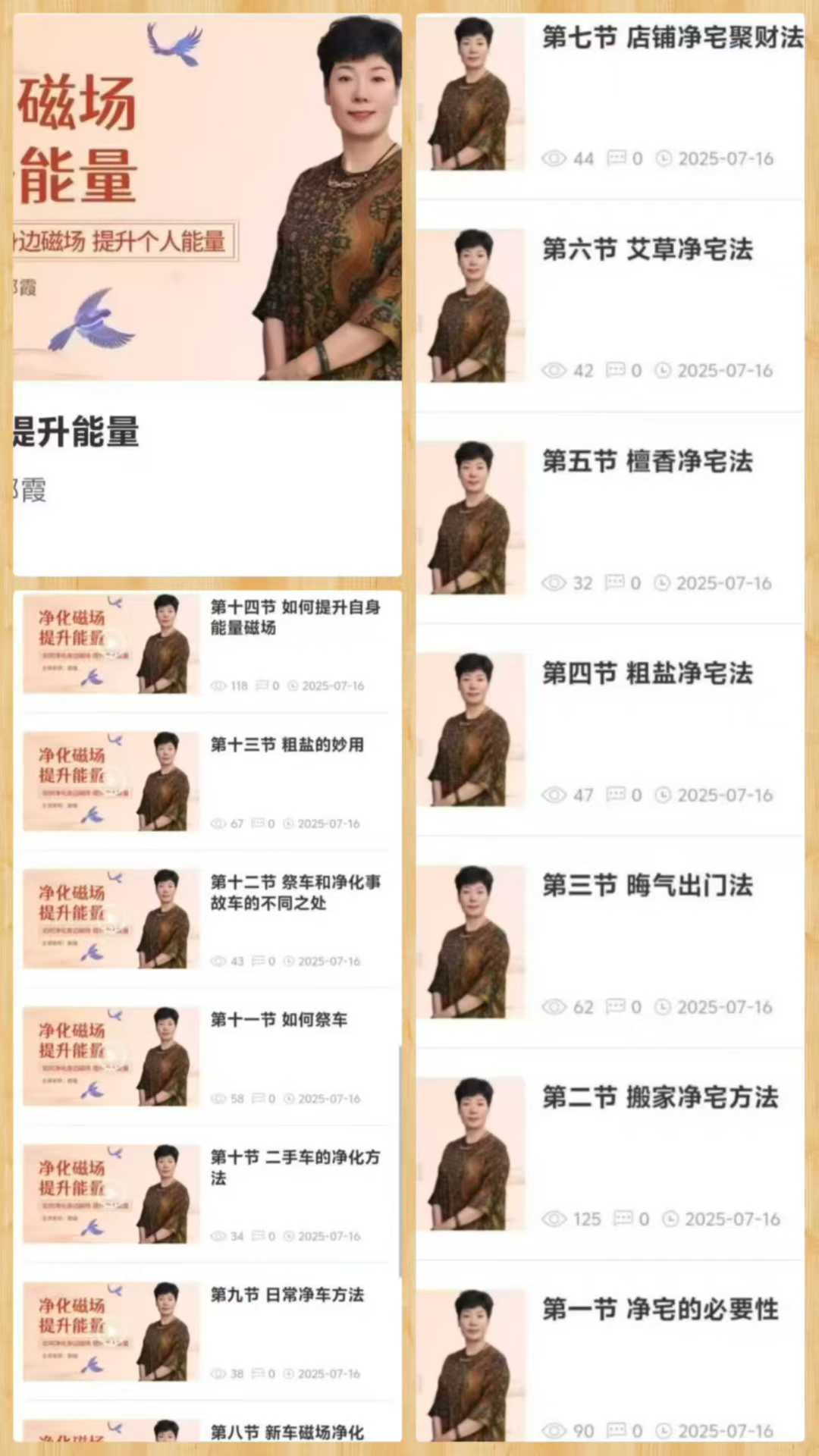 【如是禅说讲堂】净化磁场 提升能量 14集视频