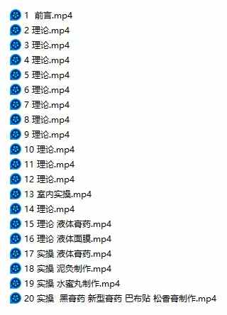 雷文斌教您制作祖传黑膏药、新型膏药、液体膏药、水蜜丸、养生泥灸