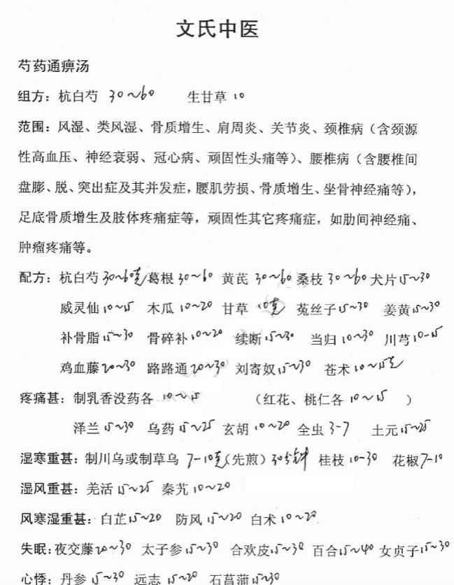 文氏中医秘方21页