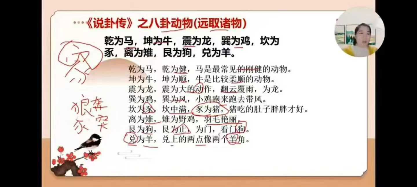 久珍老师《梅花易数》教学视频30集