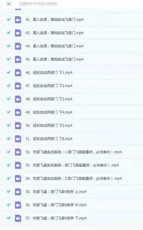 奇门飞宫系列课程合集57集视频