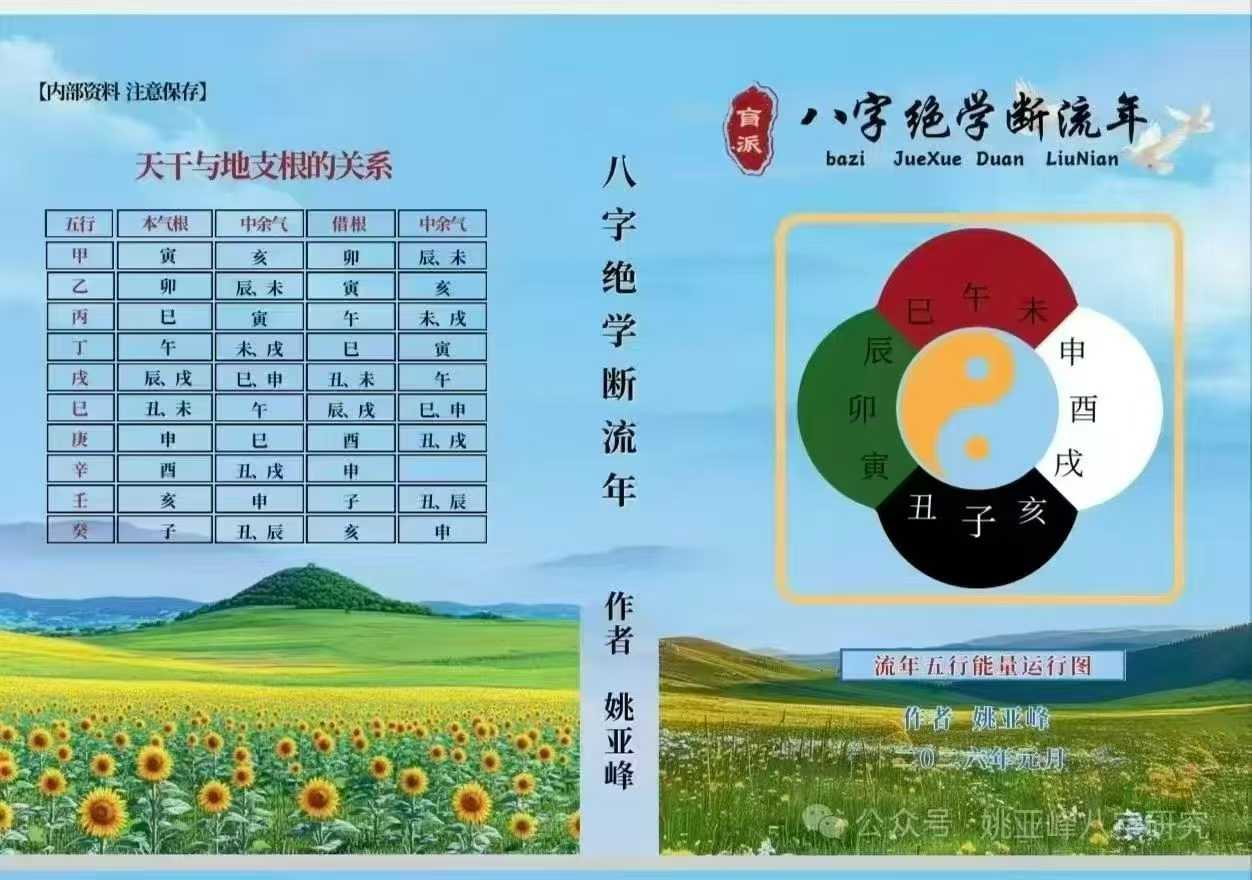 姚亚峰 《盲派绝学断流年》506页