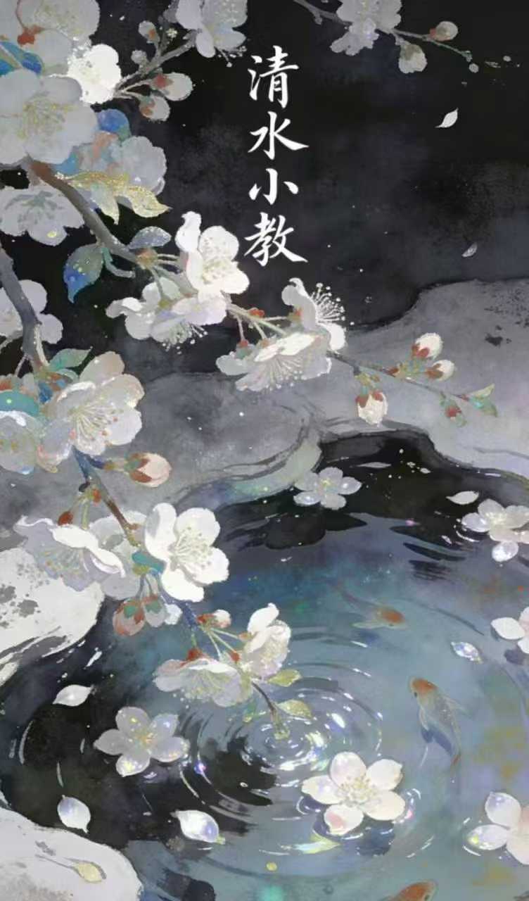 清水小教 视频+课件