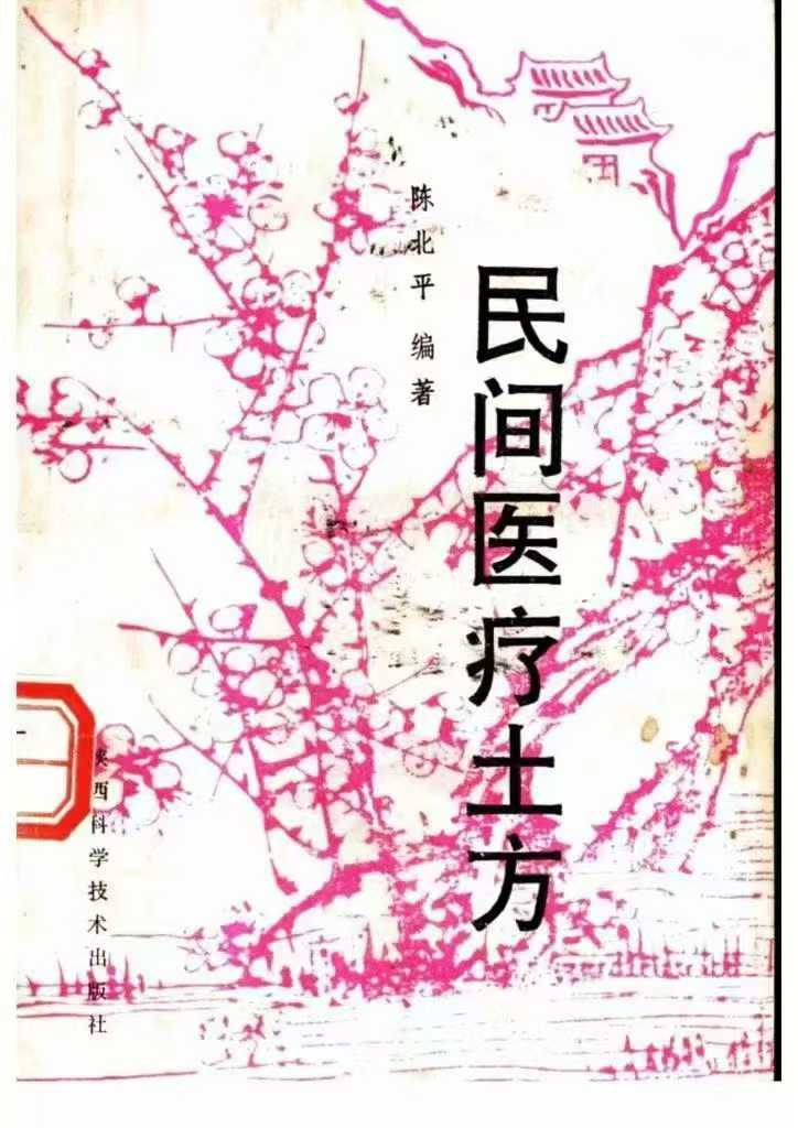 民间医疗土方 陈北平编著