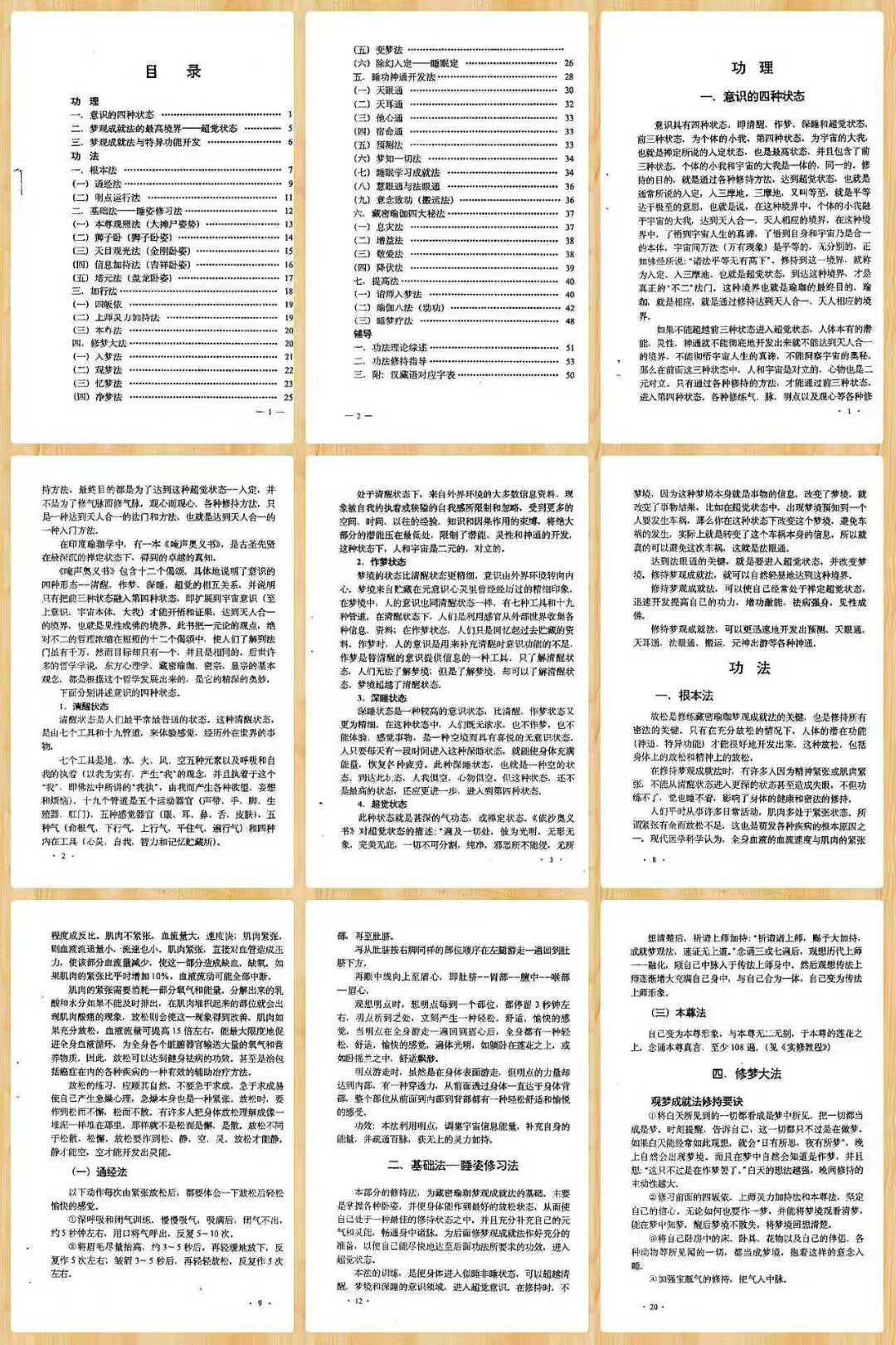 藏密之梦观法 藏密无上瑜珈+梦观成就法(张伟杰)