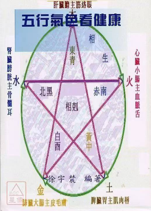 插图1–《五行气色看健康》徐宇辳 页数: 142双页284页–91国学网