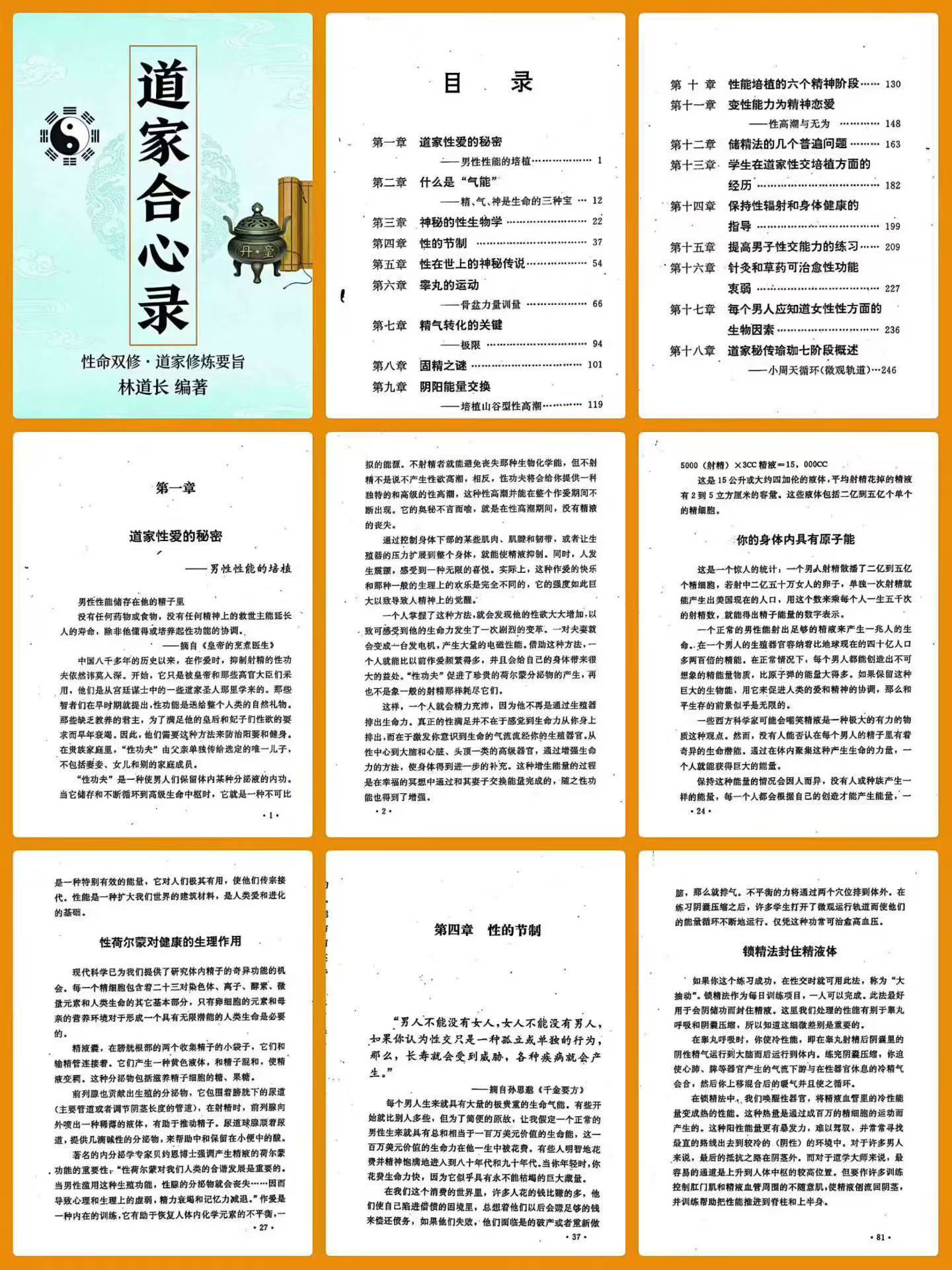 插图1–道家合心录-现代-270页–91国学网